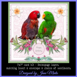 ECLECTUS PARROTS mini kit