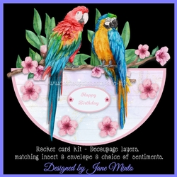 MACAWS rocker card