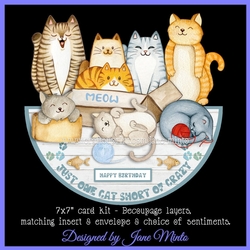 ONE CAT SHORT OF CRAZY rocker card