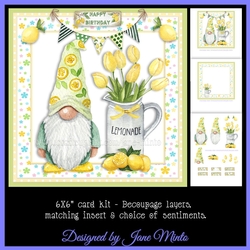 LEMON GNOME 6X6