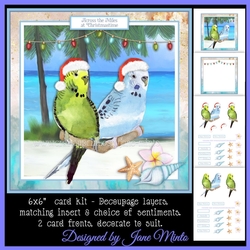 6X6 CHRISTMAS BUDGIES 