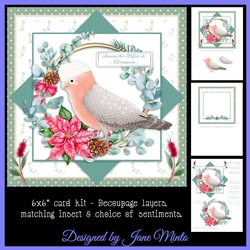 6X6 CHRISTMAS GALAH 