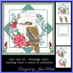 6X6 CHRISTMAS KOOKABURRA 