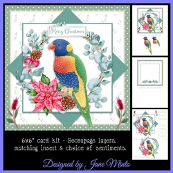 6X6 CHRISTMAS RAINBOW LORIKEET 
