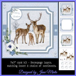 WINTER FAMILY
