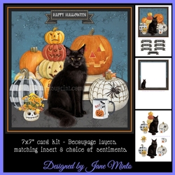PUMPKIN CAT