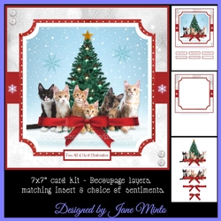 CHRISTMAS KITTENS