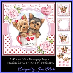 VALENTINE YORKIES