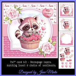VALENTINE RACCOON