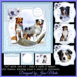 AUSTRALIAN SHEPHERDS
