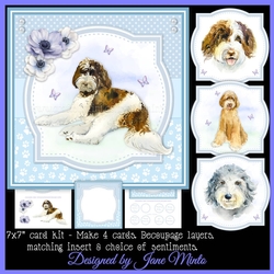 AUSTRALIAN LABRADOODLES