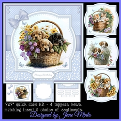 PUPPY & KITTEN BASKETS set 1
