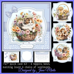PUPPY & KITTEN BASKETS set 2