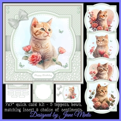 PRETTY CATS mini kit