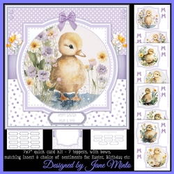 LITTLE DUCKLINGS - Easter or Birthday