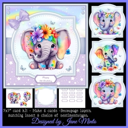 RAINBOW ELEPHANTS