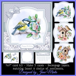 BEAUTIFUL BIRDS set 2