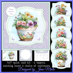 FLOWER POTS