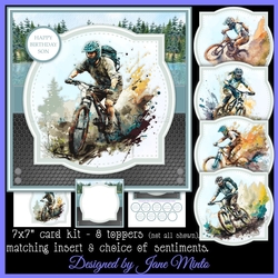 MOUNTAIN BIKES