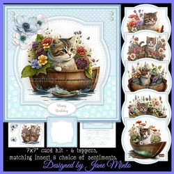 SAIL AWAY CATS