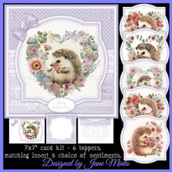 FLOWERY HEDGEHOGS