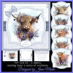 HIGHLAND COWS 2