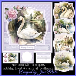 PRETTY SWANS