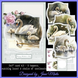 SWAN FAMILY 5X7