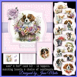 PRETTY IN PINK DOGS