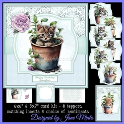 PURRFECT POTS