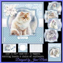 WINTER ANGORA CATS