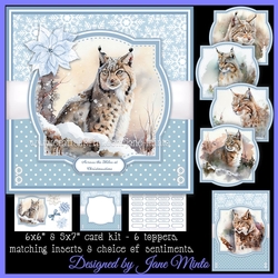 WINTER BOBCATS
