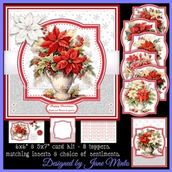 POINSETTIA VASES