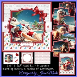 BEACH SANTA
