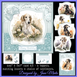 SALUKI DOGS