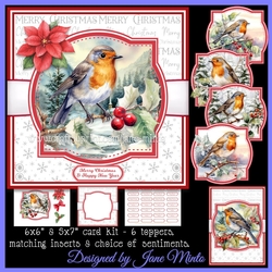 HOLLY ROBINS