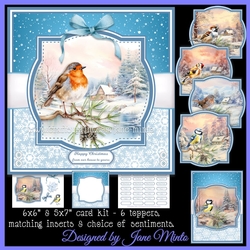 BIRDS IN THE SNOW