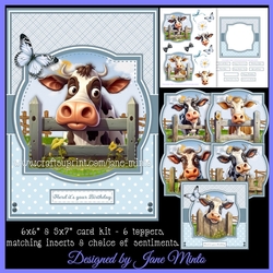 NOSEY COWS 6X6 & 5X7