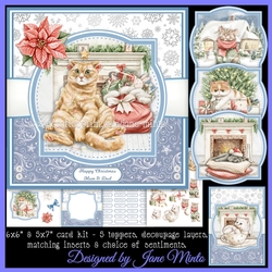 CATS AT CHRISTMAS 1