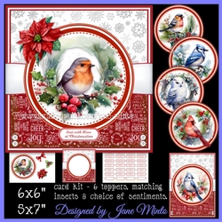 WINTER WREATH BIRDS mini kit