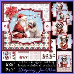 SHIH TZU AT CHRISTMAS