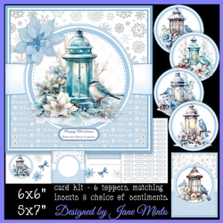 WINTER BLUEBIRDS