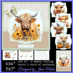 AUTUMN HIGHLAND COWS
