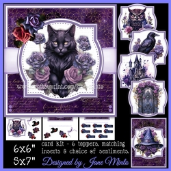 HALLOWEEN OR BIRTHDAY WITCHY THINGS