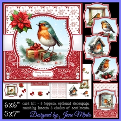 WINTER ROBINS