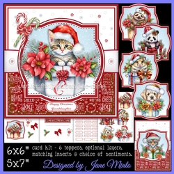 GIFT BOX CUTIES