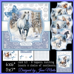 WINTER HORSES