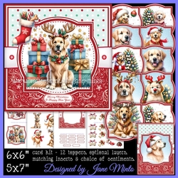 GOLDEN CHRISTMAS bumper kit 1