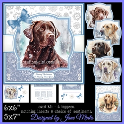 WINTER LABRADORS