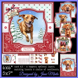 RED FOX LABRADORS - request